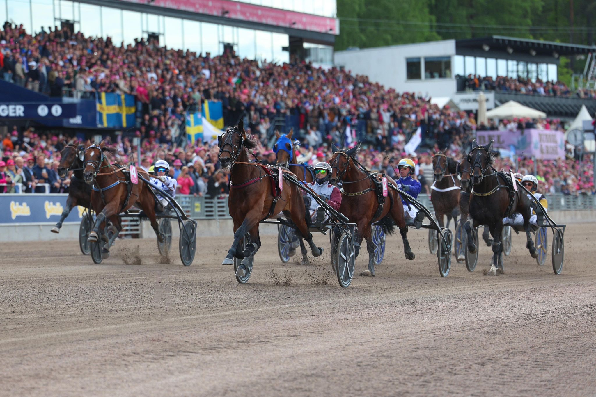 Elitloppet – Finalen til Hohneck 350086996_1343345043274841_3557408730047397680_n