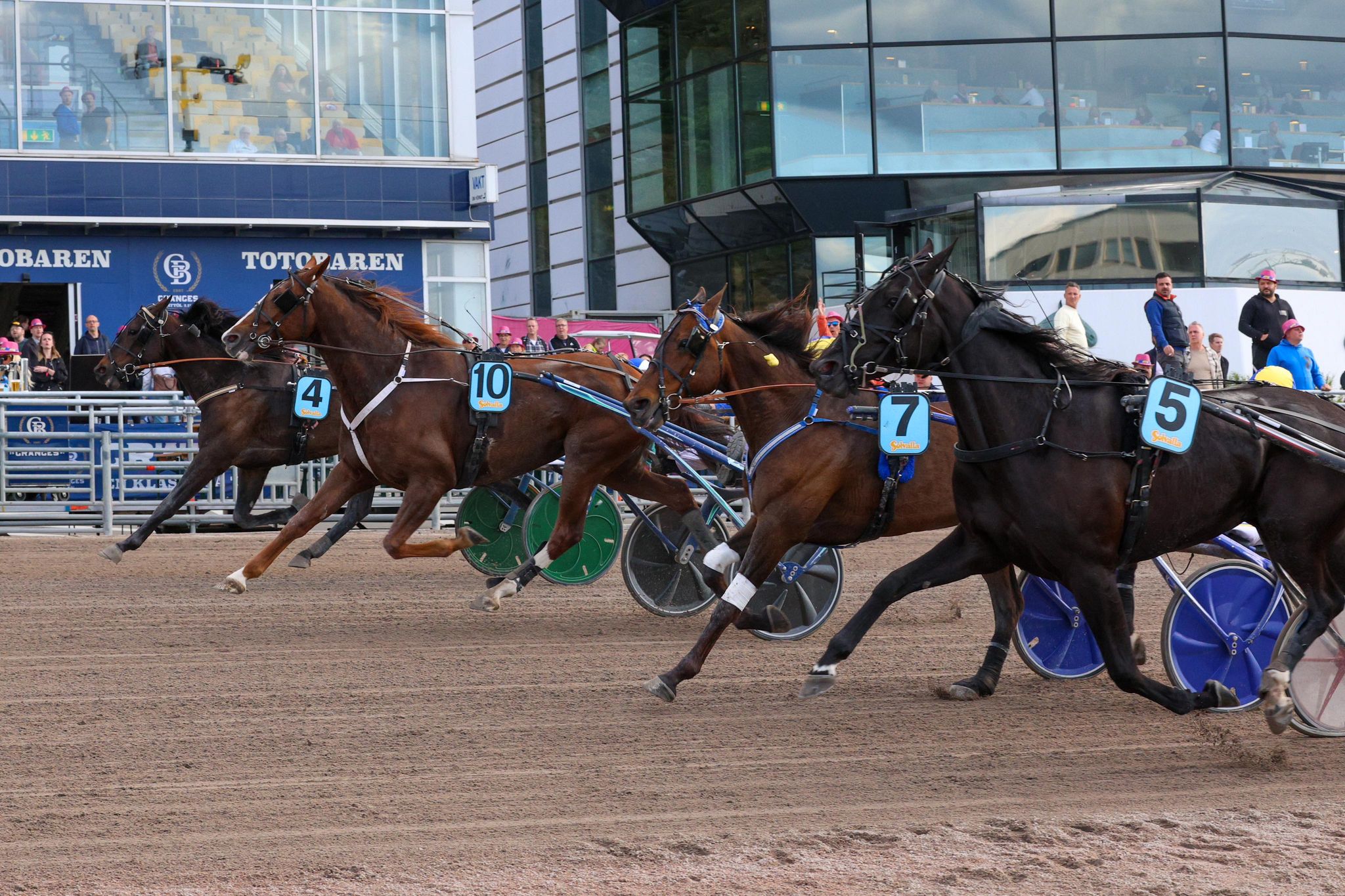 Solvalla – Dansk andenplads – Sådan er det gået 350205873_638529268317582_7527126726128703085_n