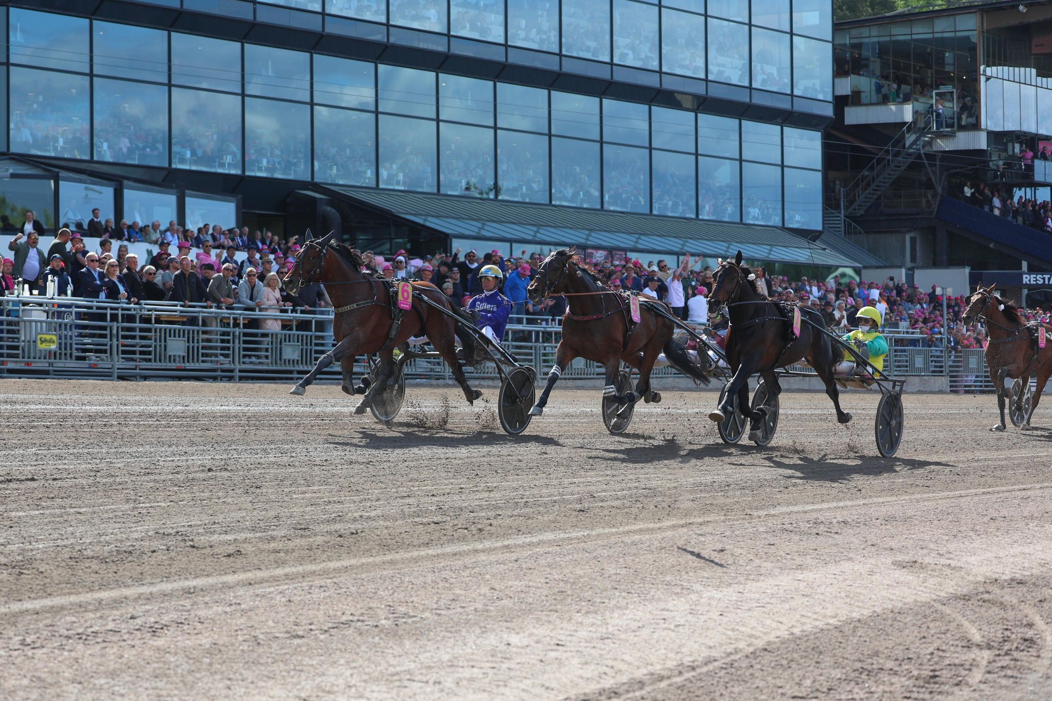 Elitloppet, Forsøg 2 til San Moteur 350205876_3523697734574338_8317595739260432679_n
