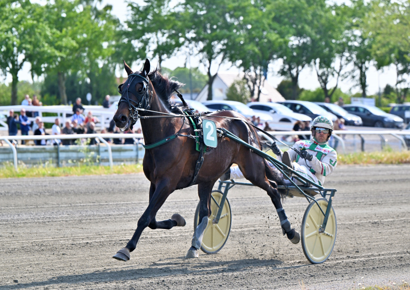 Jeppe og Flemming til Solvalla CORI_GAUFF_NZ9_9244
