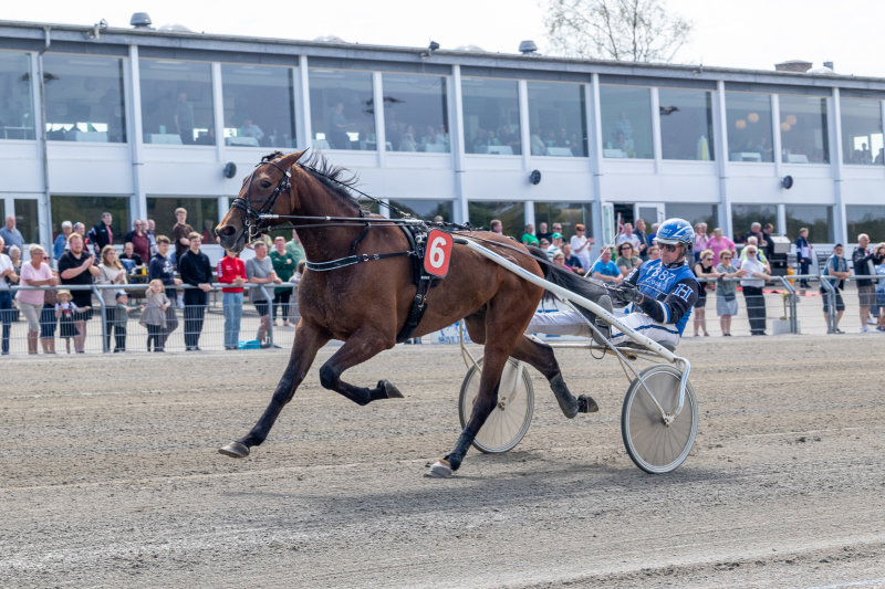 Dorob formidlet til Sverige Dorob