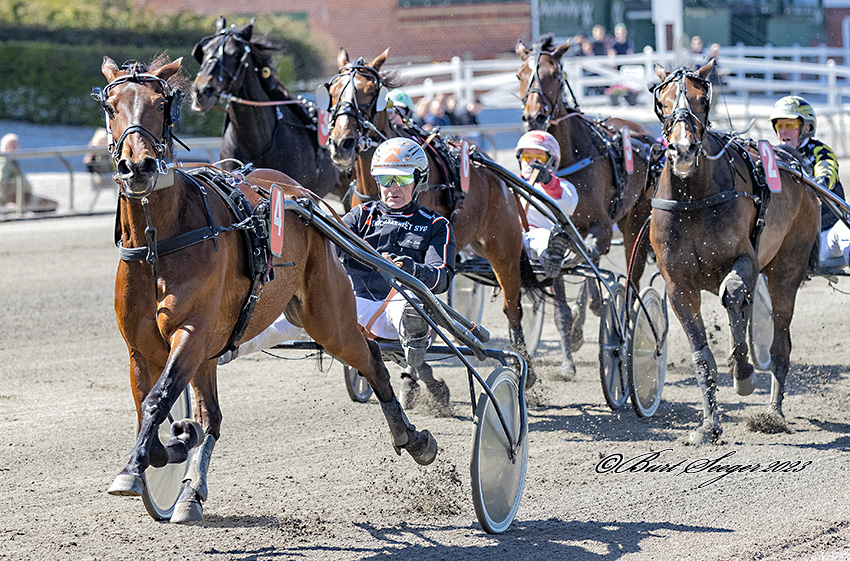 Pressemeddelelse fra DTGU Trav Charlottenlund