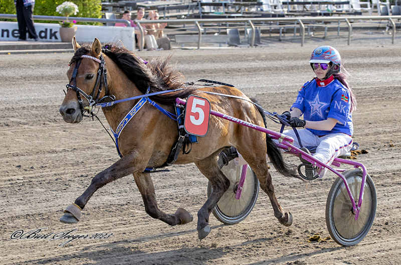 Pony - Dansker fik rosa billet Isilon_Alasse__S2_5337