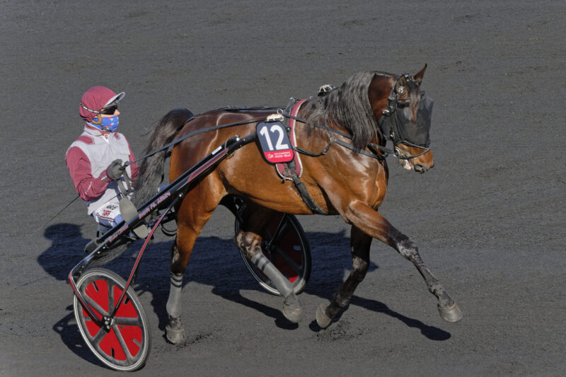 Elitloppet – Hohneck inviteret Vincennes- 26-02-2023-