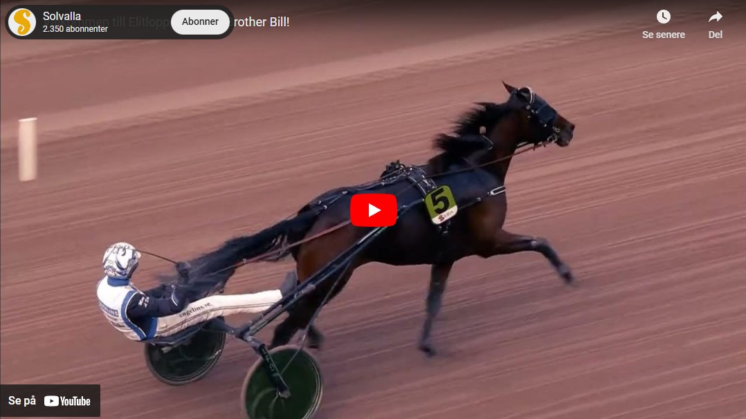 Elitloppet - Brother Bill inviteret Skærmbillede 2023-05-13 191030