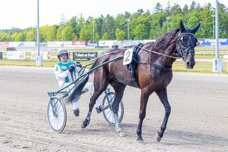Jeppe Juel på to baner i dag Sunshine_Avenue_4