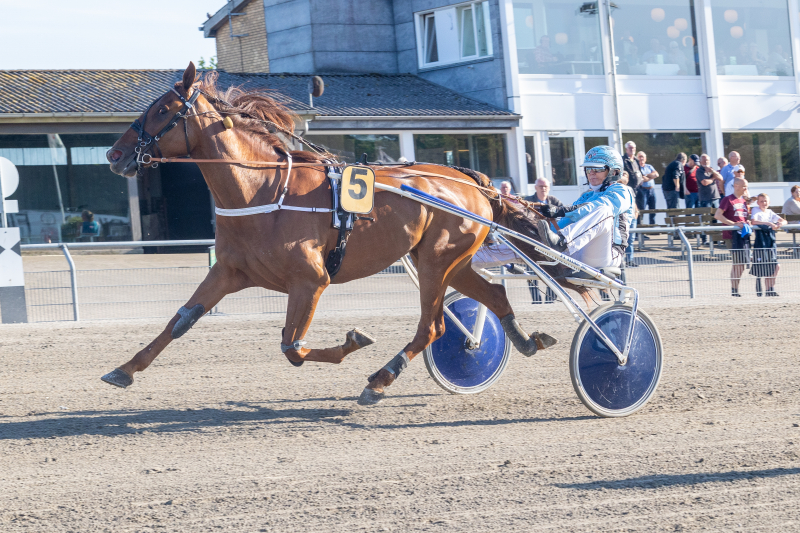 Er til salg - Starter i dag quick_overview