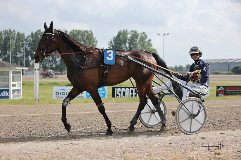 Grand Circle 3-års Prøver for Hopper - Sådan gik det 895A3331