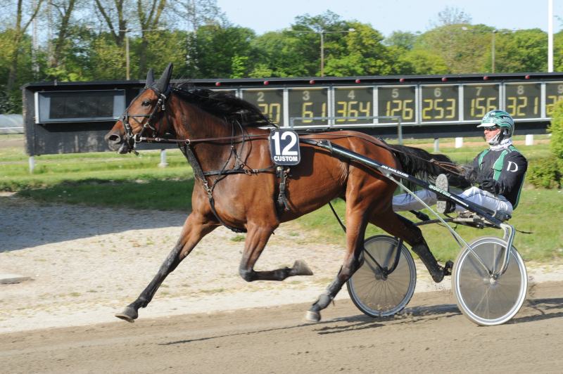 Houston Spring – En af de nye drenge i klassen DSC_7834