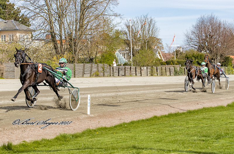 Fyn - Camilla kommer med debutant ILLUSTRIOUS_ONE_S2_3308