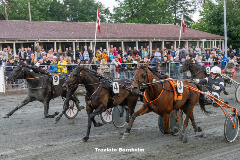 Bornholm nu med Jimmi Jessen Bornholms Brand Park 5 juli 2023 Fotograf Torben Ager Travfoto Bornholm TKA 0119 e1688584818396