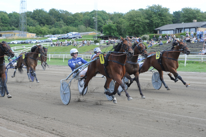Aarhus - Grand Prix-kvalifikation DSC_9784
