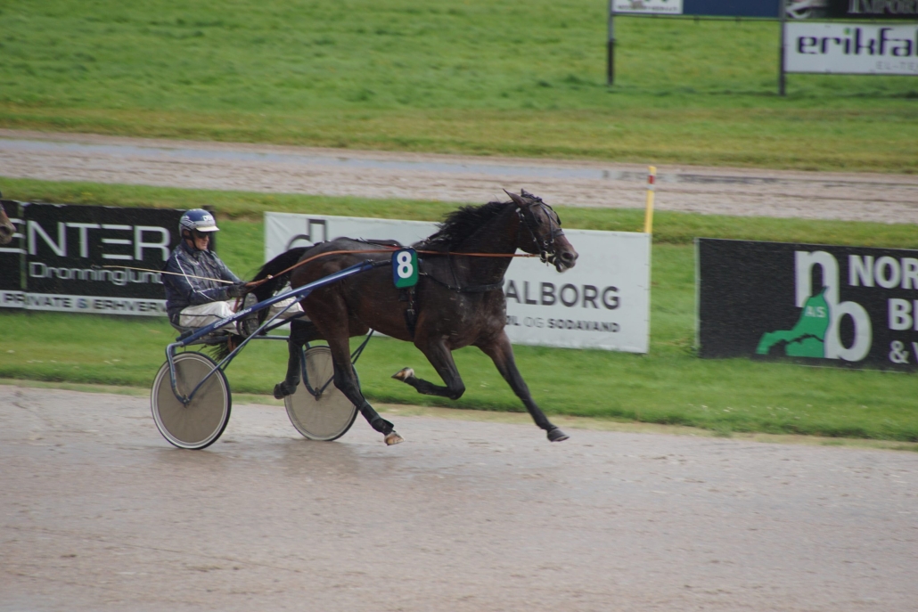 Hustle Rain aalbrg 9.aug 21 scaled 1 1030x687 1