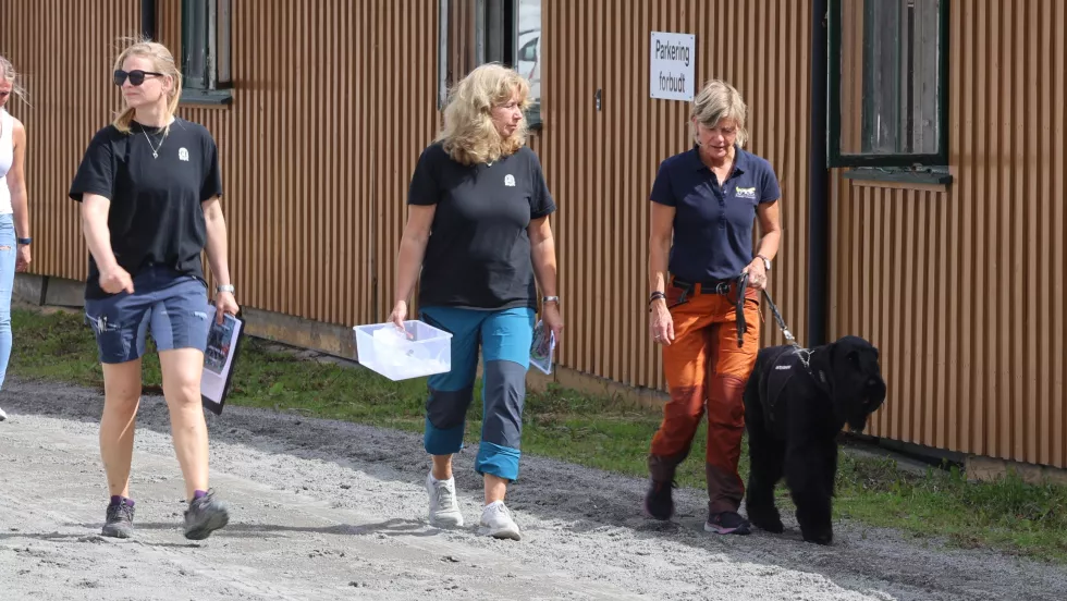 Dopinghunden Lykke er i Norge a08a12afa59e6