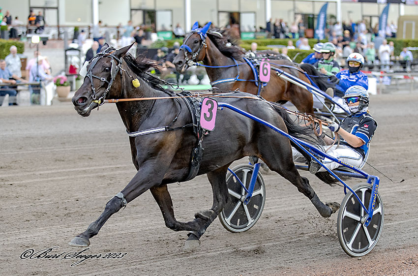 Kort nyt Trav Charlottenlund
