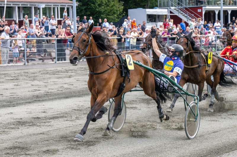 Bornholm - Korfitsen dagsbedst Faithful P D med Mads K Mogensen Bornholms Brand Park 12 august