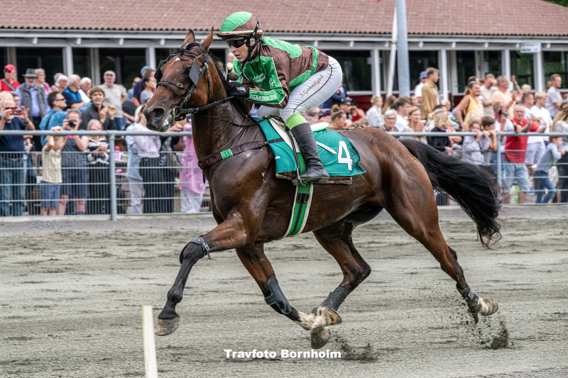 G Cross med Sabine Gammelgaard Bornholms Brand Park 20 august 2023 Fotograf Torben Ager Travfoto Bornholm TKA 5610