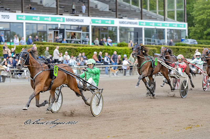 Rene Kjær en topkusk - Sætter han svenskerne på plads HIGHFIVE_E_M_S2_0047 (2)