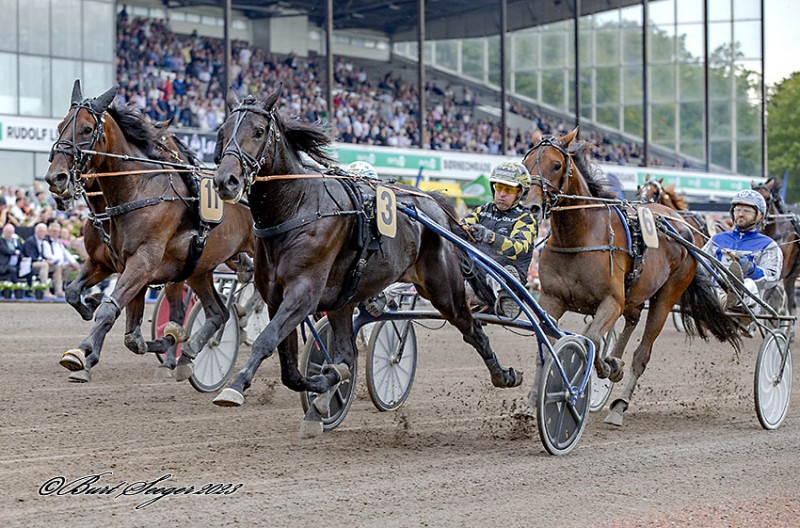 HoudiniShadow2