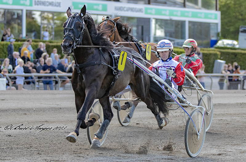 Lunden - Sådan gik det i dag IBRAHIMOVIC_S2_9238