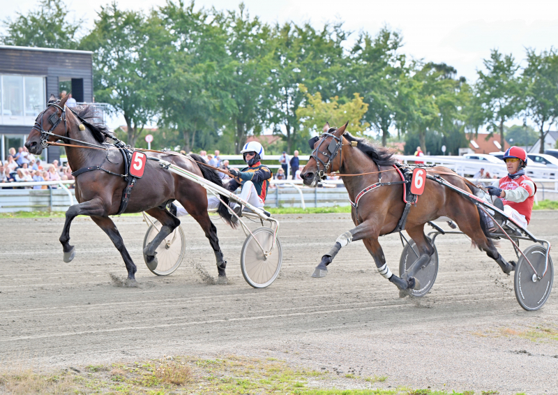 ISIDOR LOMIG NZ9 2546
