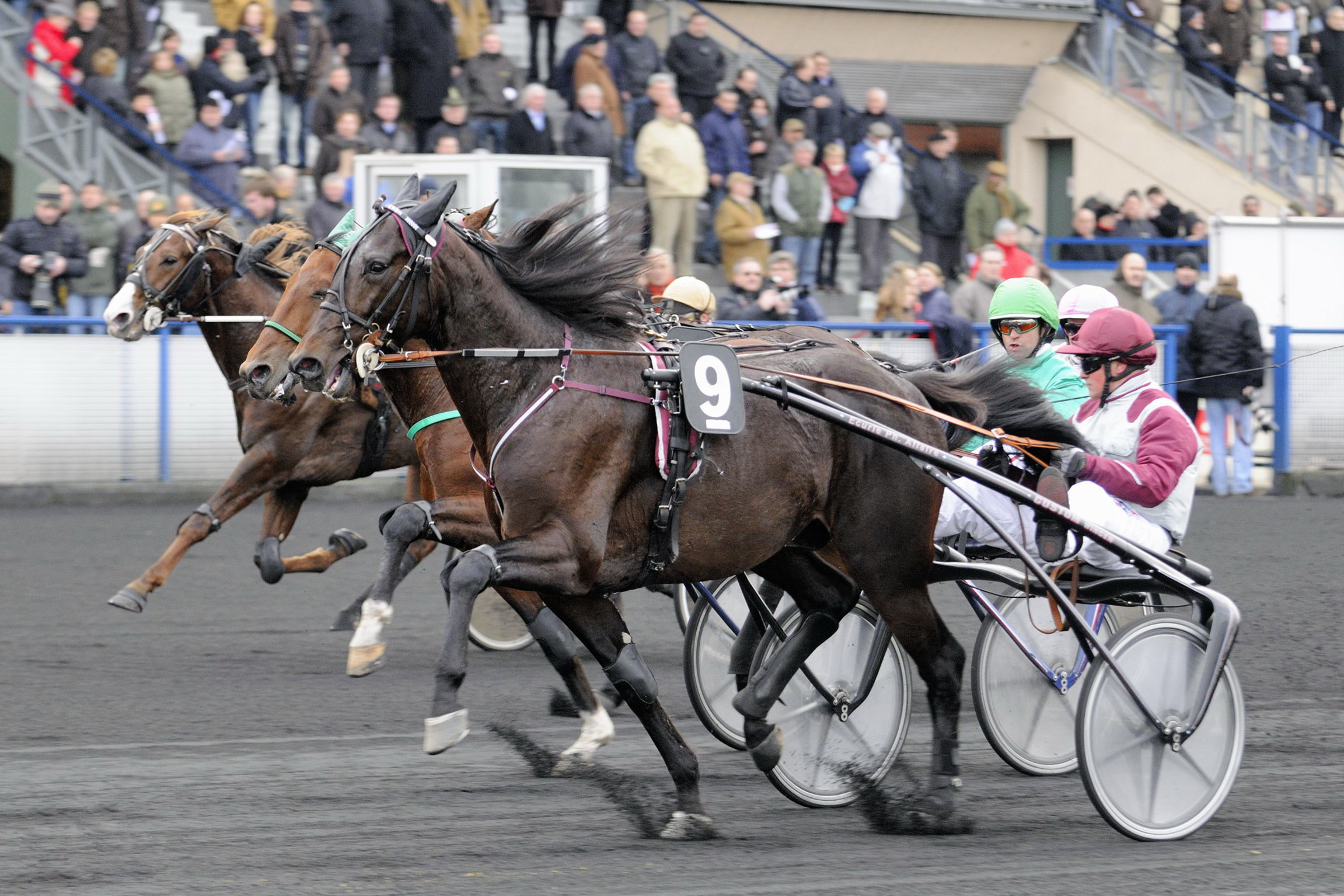Cracks Chevaux