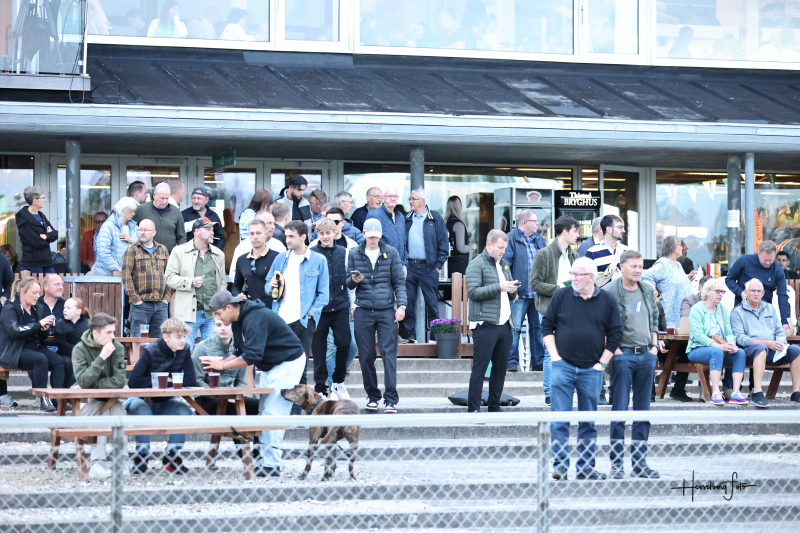Flot arbejde Aalborg 895A9877
