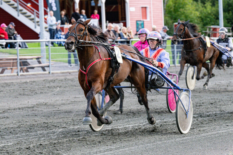 Beluga Onion med Kenn Christoffersen Bornholms Brand Park 13 september 2023 Fotograf Torben Ager Travfoto Bornholm TKA 8026 scaled e1694625413124