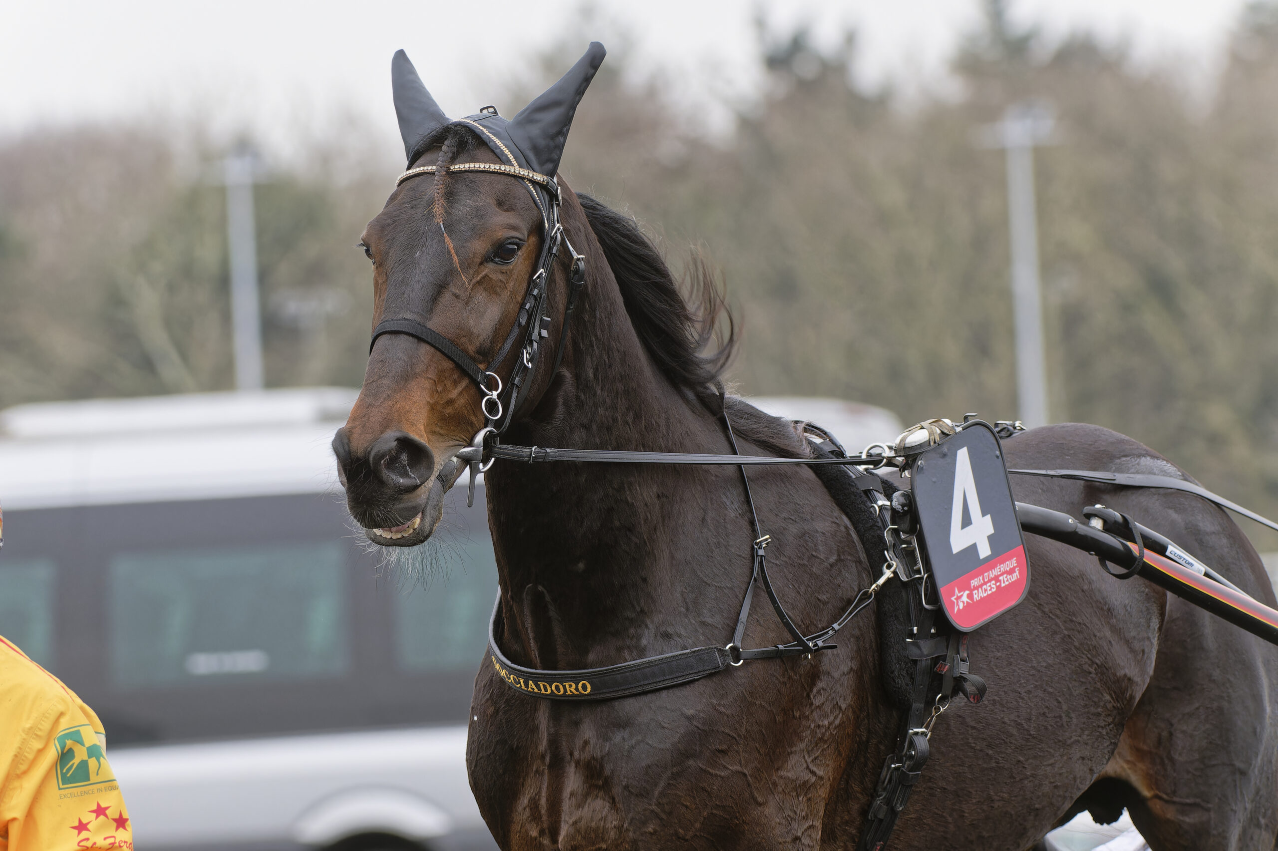 Yonkers International Trot – Get A Wish galoperede Vincennes- 12-02-2023