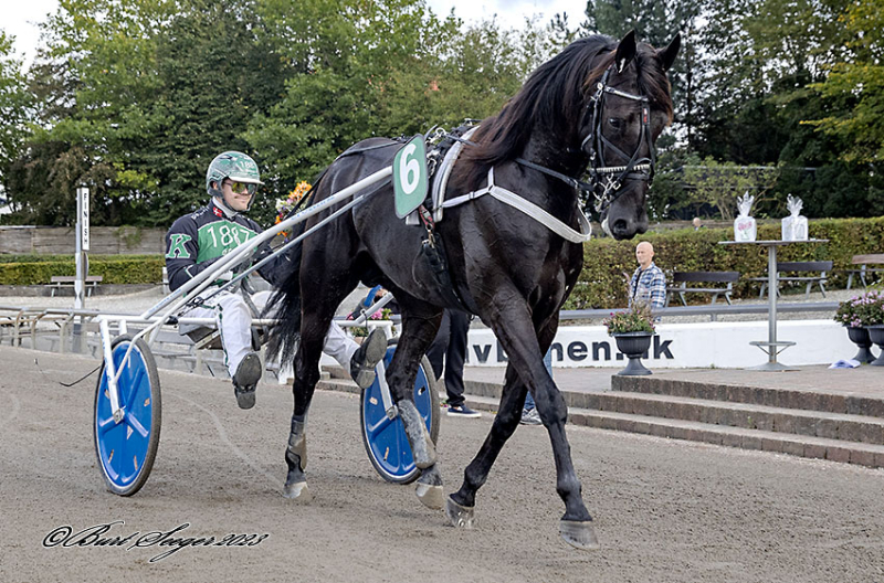 Derbydeltager kostede 25.000 kr. JOY_ME_D2I0112