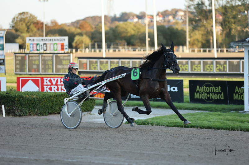 Steen Juul sejr på Åby VamosFlax_9606