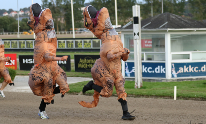 Kort nyt dino2-1