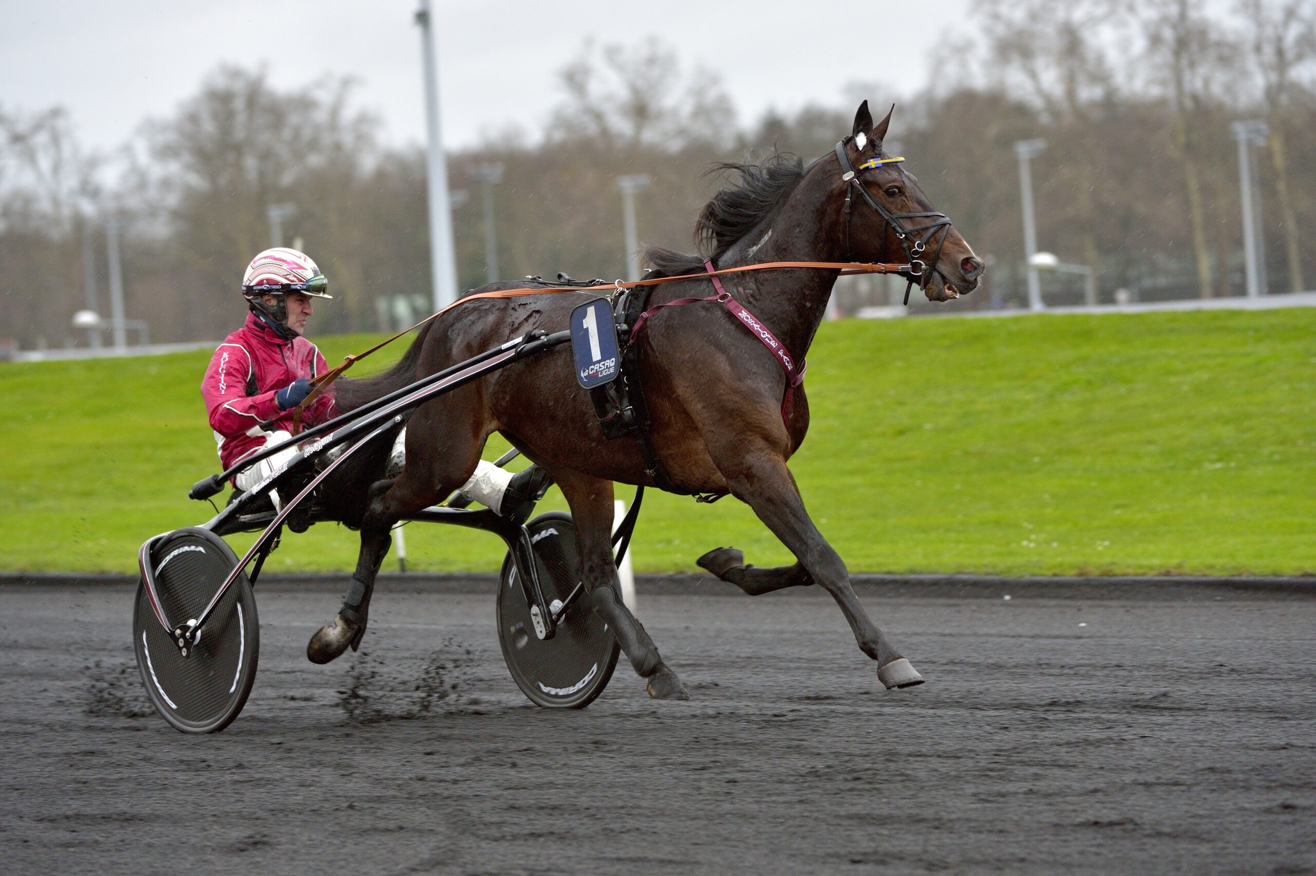 Udland – Er det et krisetegn Vincennes, Prix de Bourgogne