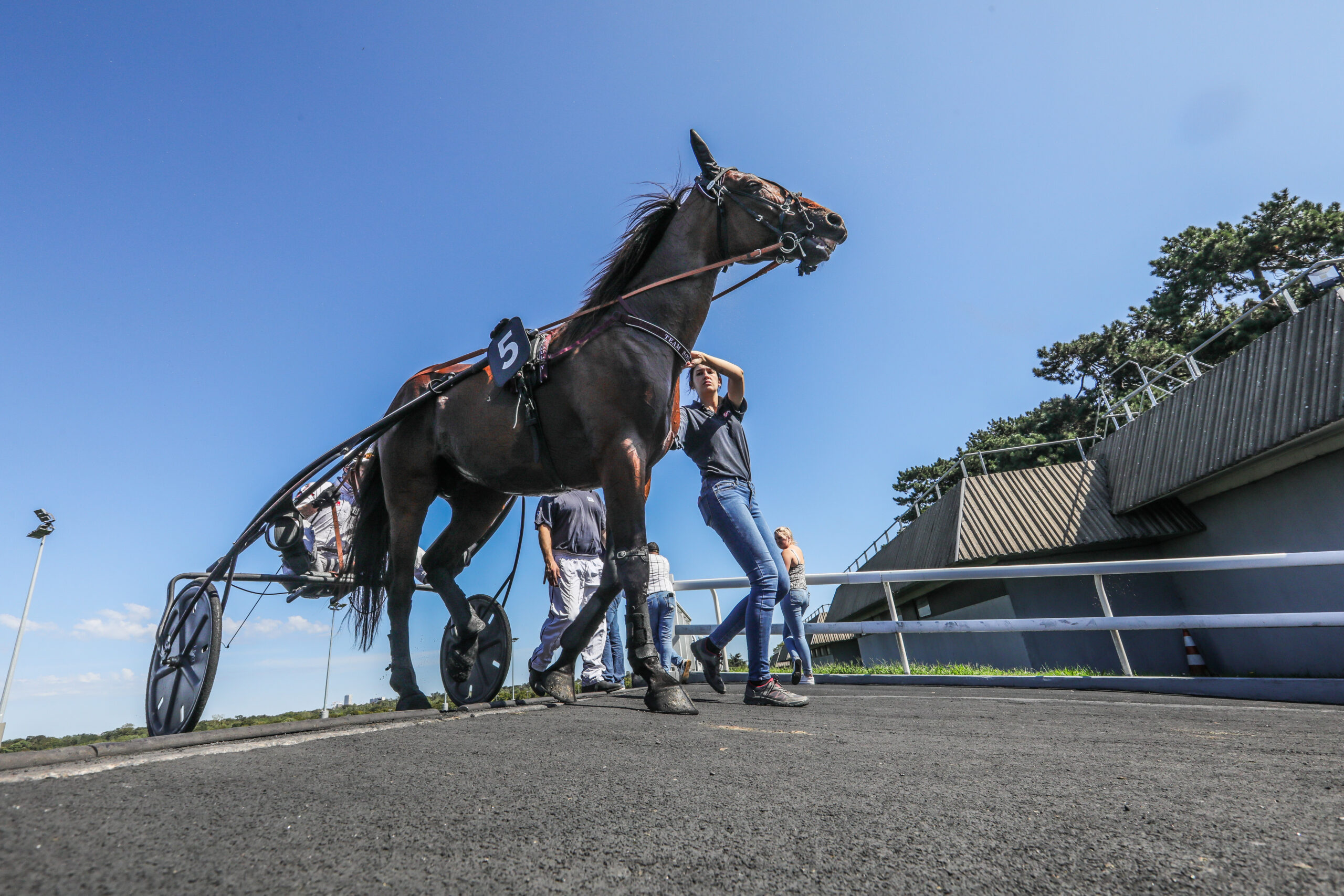 Spilklub vandt 176.442 kroner i V86 Vincennes - 02-09-2023