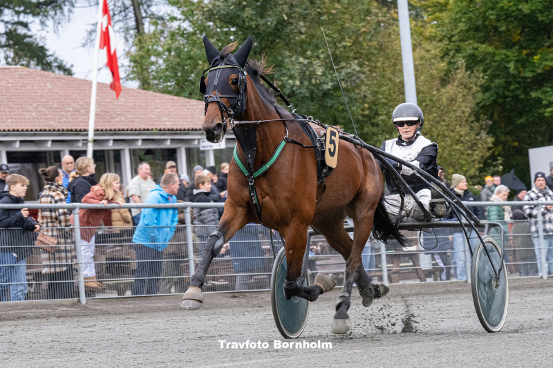 Sådan gik det på Bornholm Call_Annbirchador_med_Josefine_K_Hansen_Bornholms_Brand_Park_21_oktober_2023_Fotograf_Torben_Ager_Travfoto_Bornholm_TKA_1918 (1)