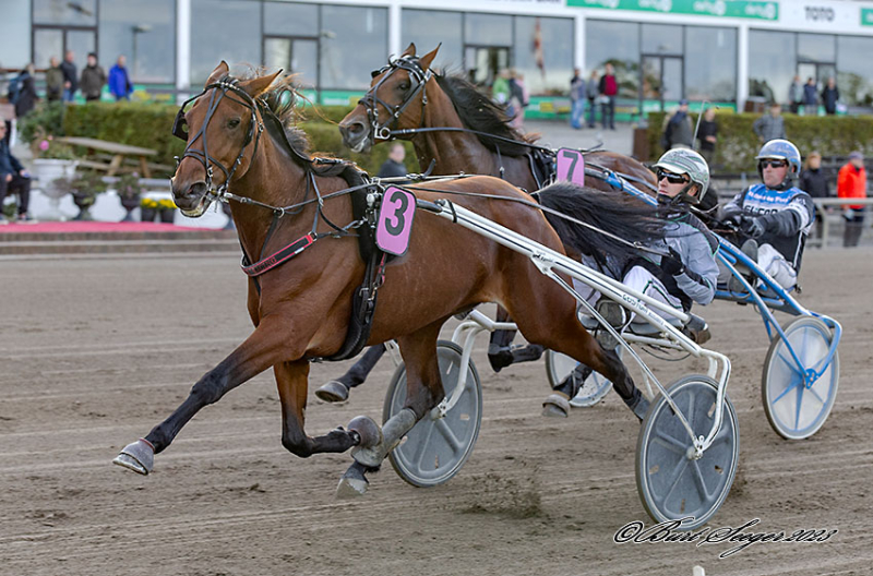 Ikon Egedal jagter hattrick IKON_EGEDAL_MGL5121