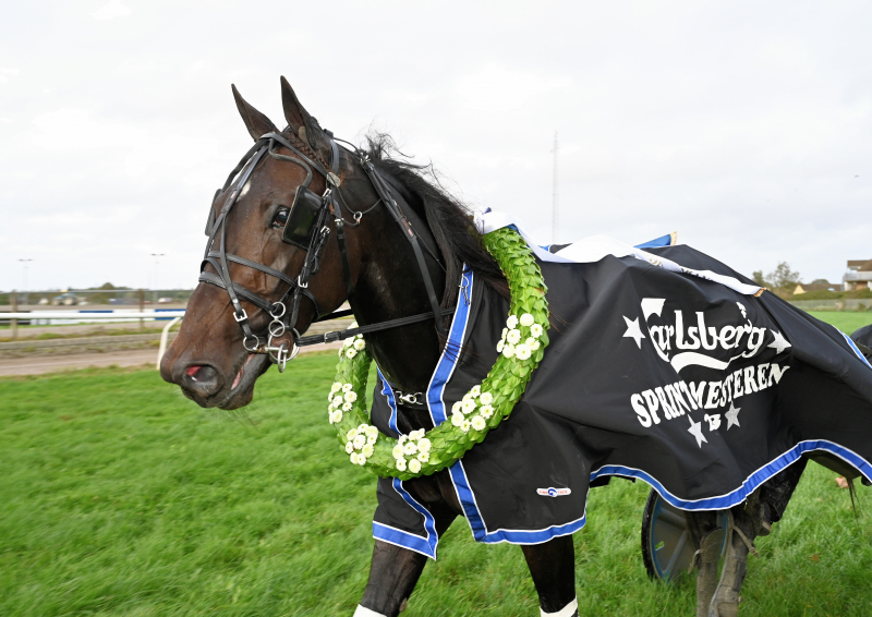 THEWINNERTAKEITALL_DSC_3583 (1)