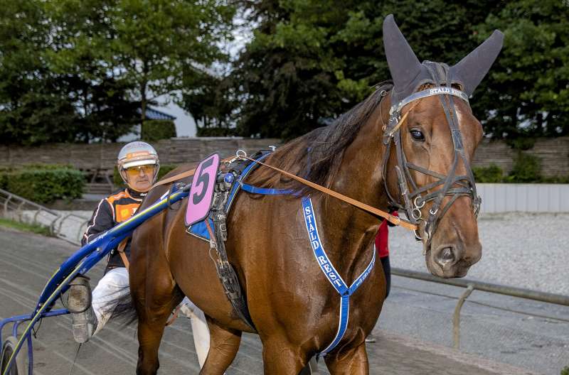 Kort nyt HANSI_THORUP_D2I3262