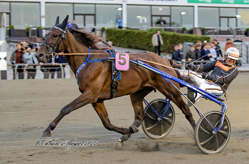 HANSI THORUP S2 7341