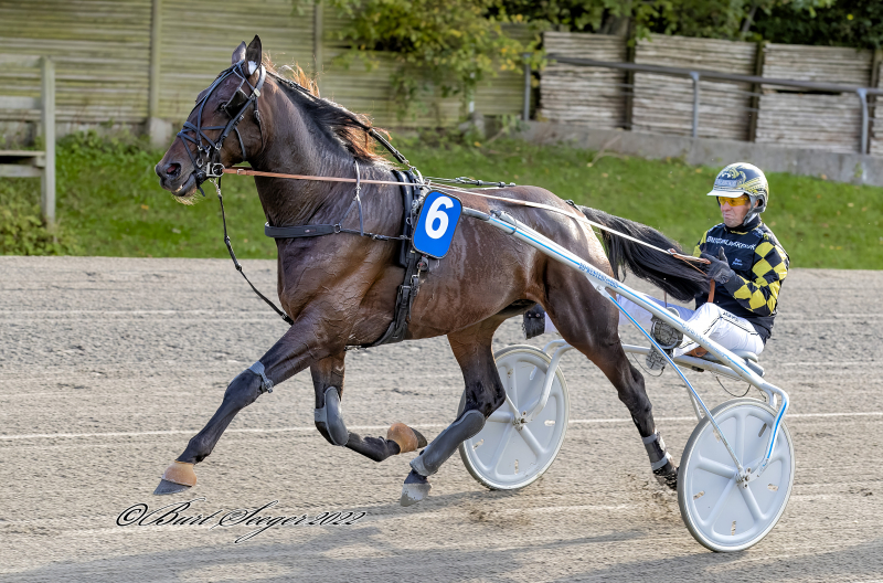 Hugo Trøjborg tilbage på dansk grund HUGO_TR_JBORG_S2_6184_T