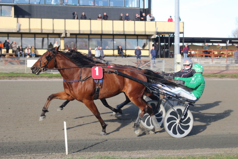 Falster med flot program Iron_Design_231118