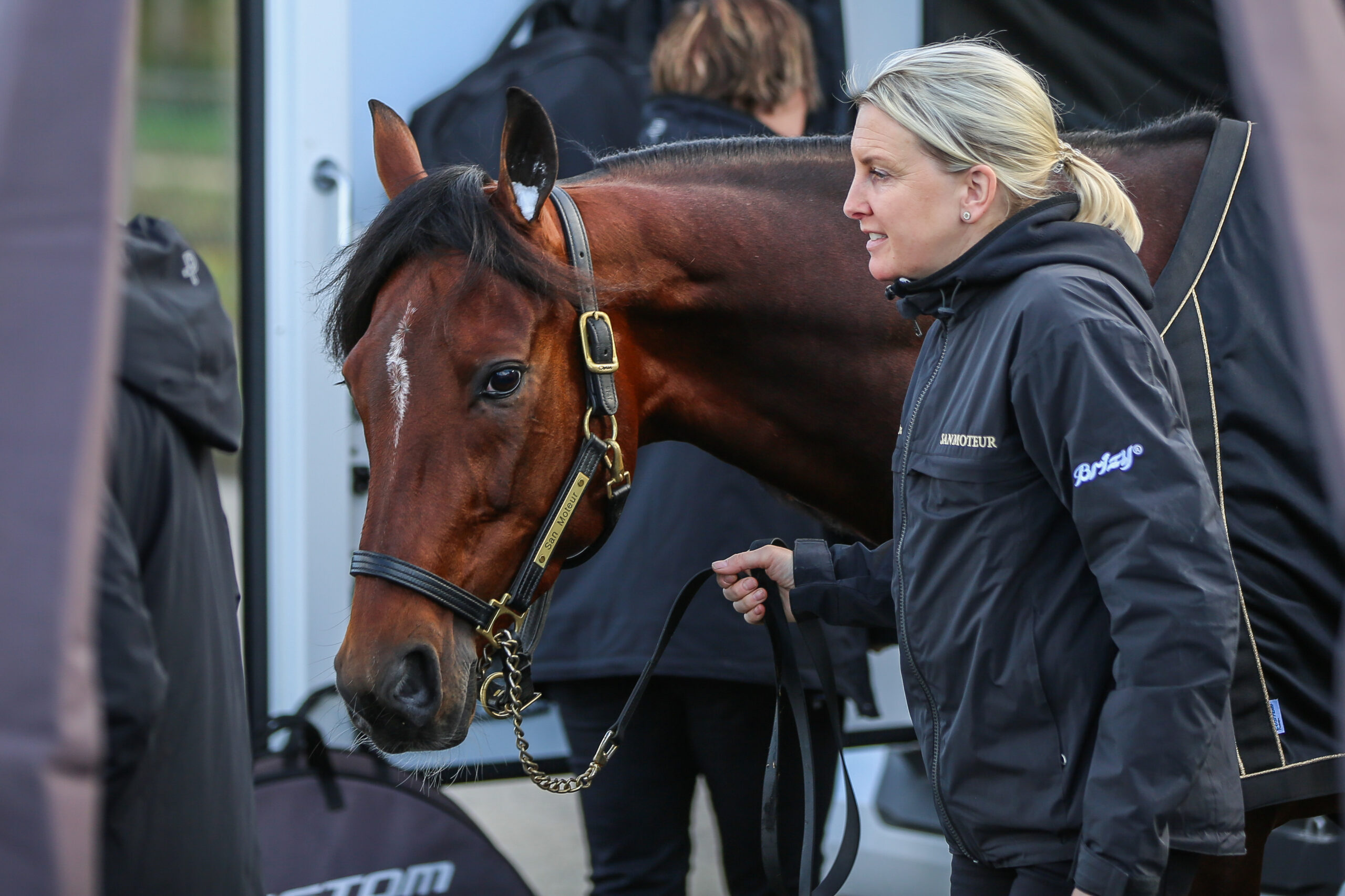 San Moteur vandt Prix du Bourbonnais Trot_23-11-19_Vincennes