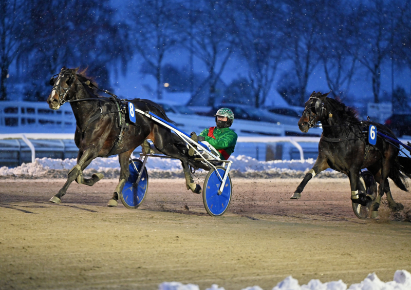 Bossow - Kan ikke bekræfte I_D_EXCEPTIONAL_DSC_5439