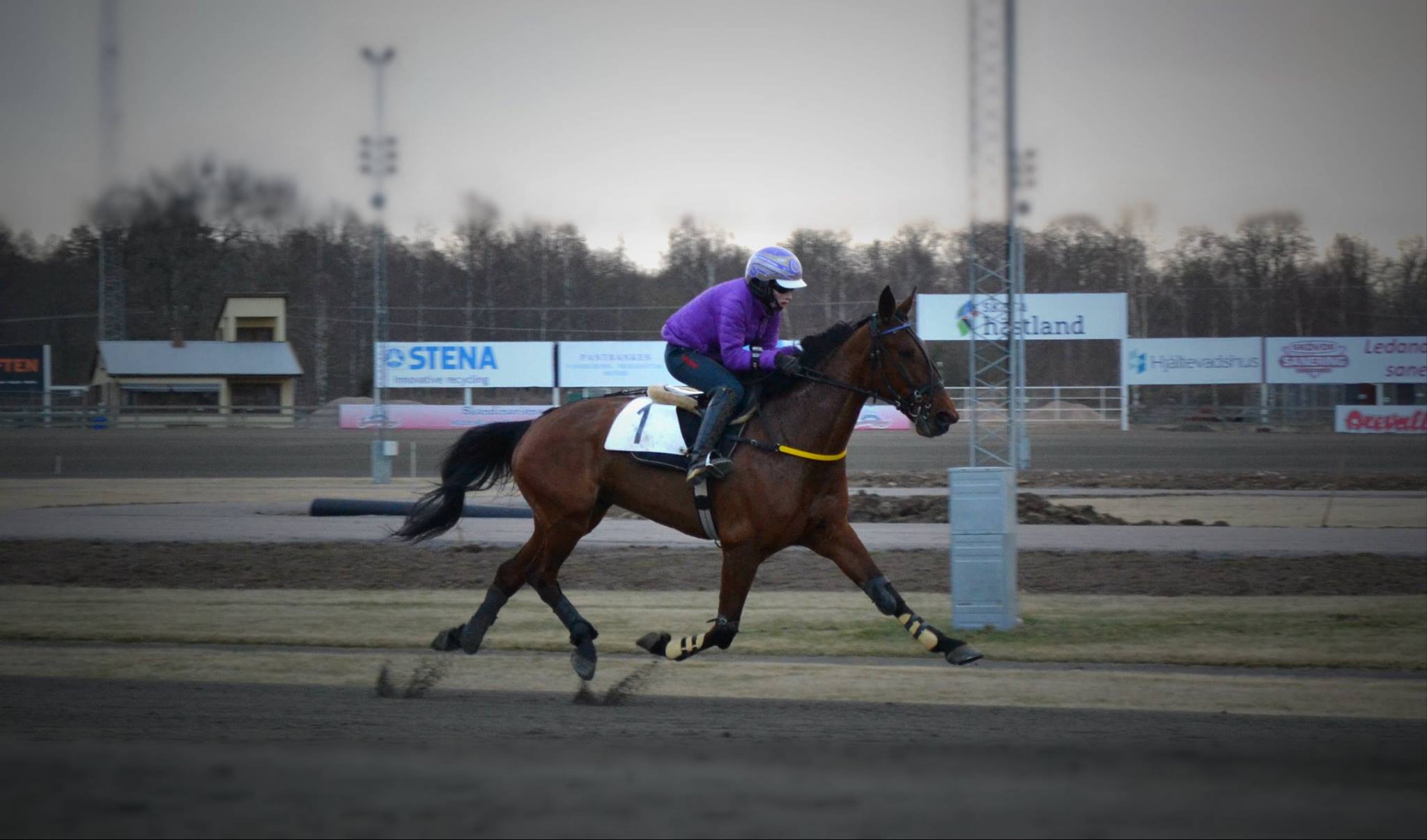 17807237 10154630387862842 7499936929040791647 o