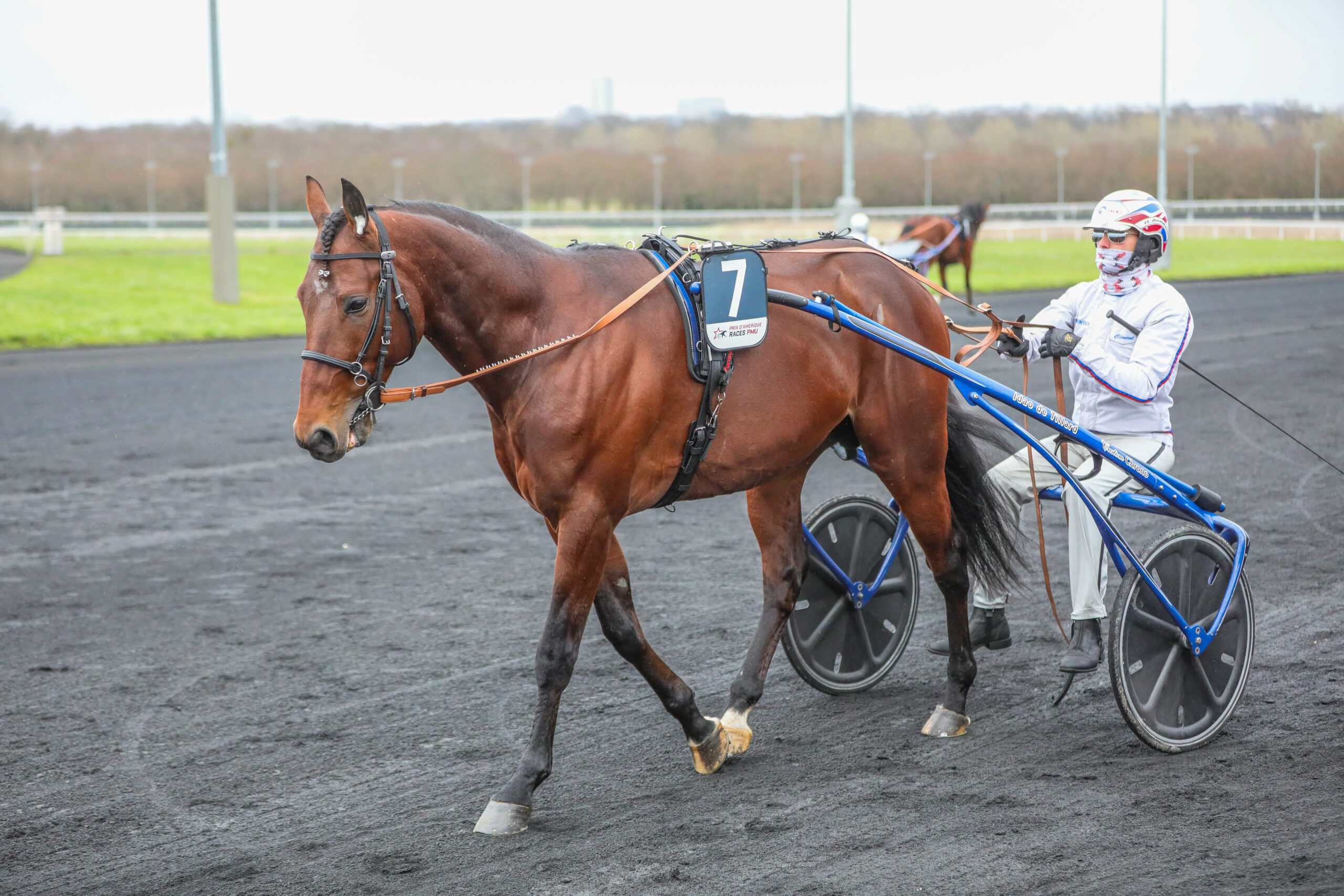 Elitloppet - Sådan starter de Vincennes-11-02-2024