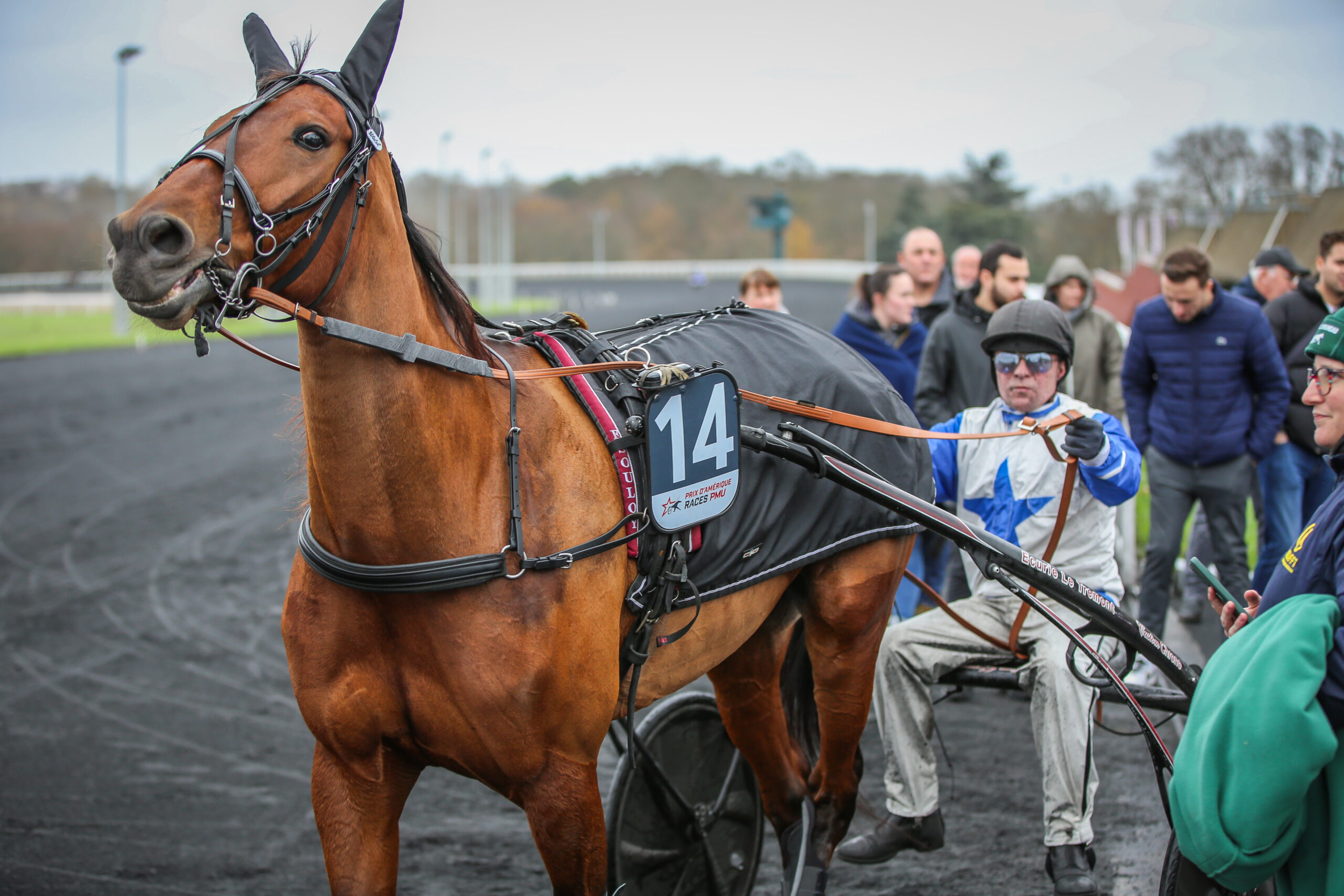 Prix de France - Åbent opgør BVDV_20231210150554_3625