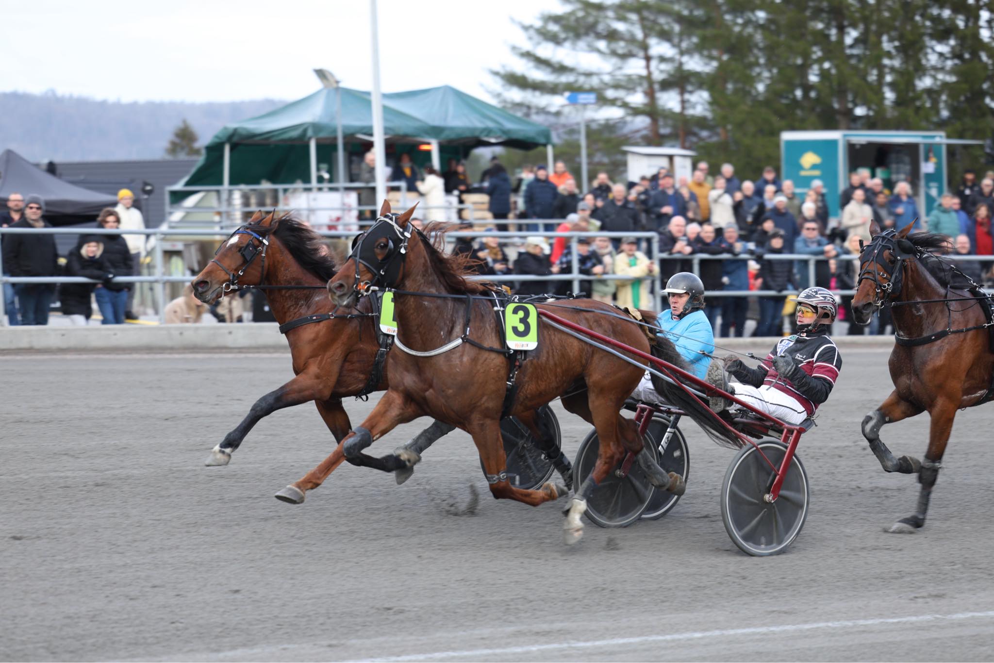 Norge - Har anket bøden 048ae9a4-c8bc-4706-bd67-ffbcb98ee438