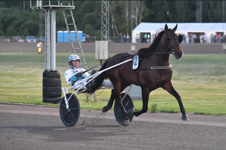 Skaermbillede 2024 03 16 184828
