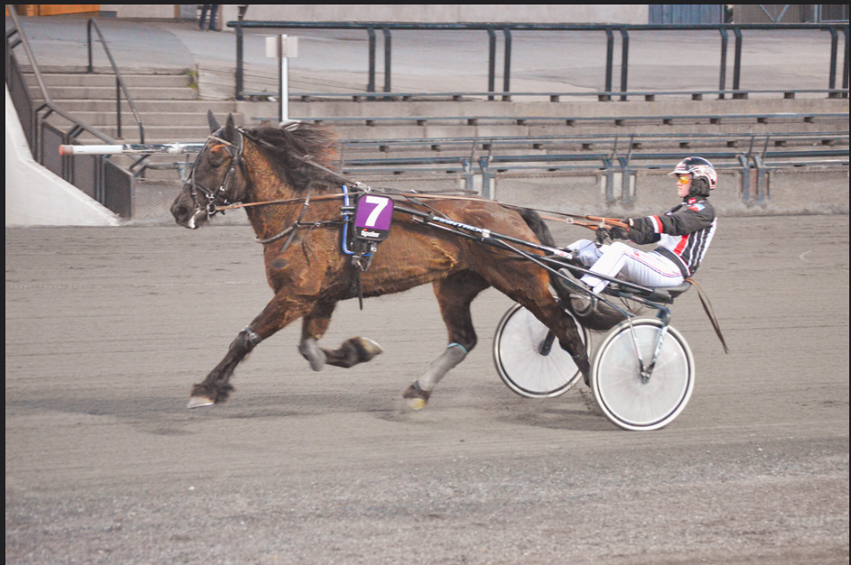 Skaermbillede 2024 03 20 085725