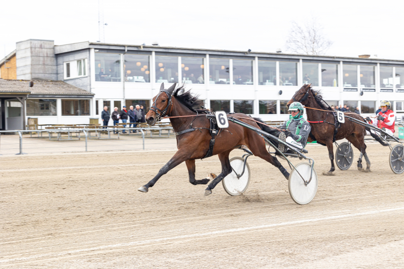 Ny opgave for Lind-Holms stjerneskud og debutant til Fyn kinky_rain